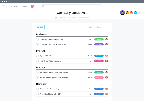 Asana User Interface 