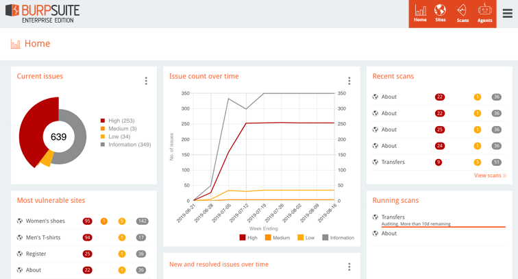 Burp Suite hacking software screenshot