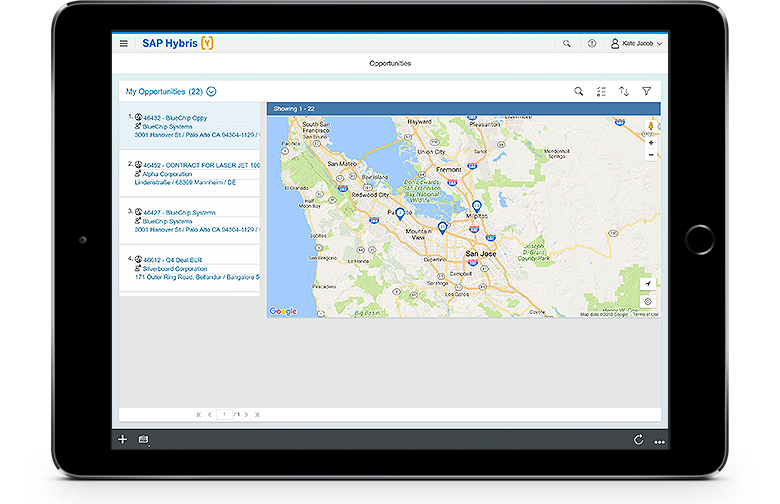 SAP CRM User Interface 